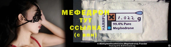 хмурый Няндома