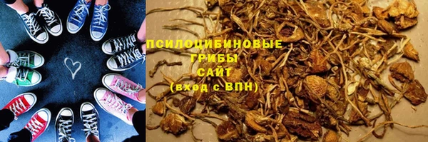 трава Беслан