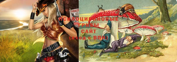 хмурый Няндома