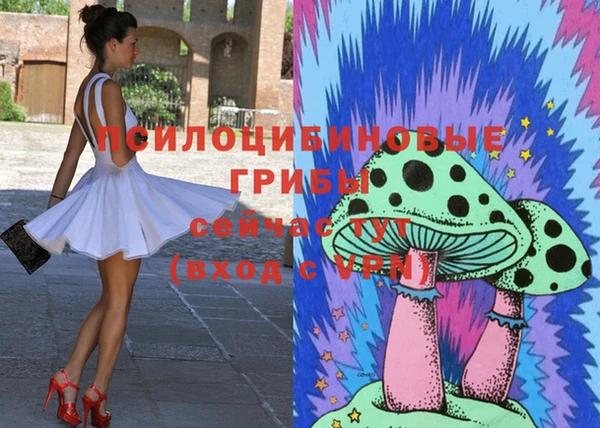 трава Беслан