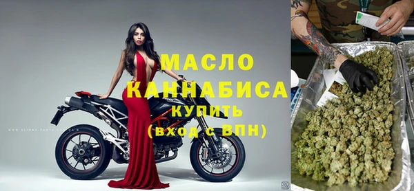 хмурый Няндома