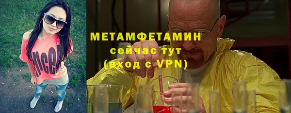 хмурый Няндома