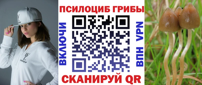 наркота  Багратионовск  Галлюциногенные грибы ЛСД 